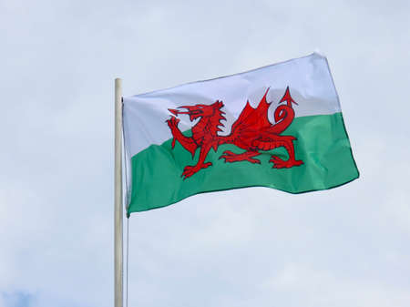 Wales flag - red dragon passant on white and green - bold and proud floating in the wind against cloudy skyの写真素材