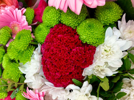 Bouquet of various colourful cut flowers - Chrysanthemums, daisies. Image 5 in 7 from series