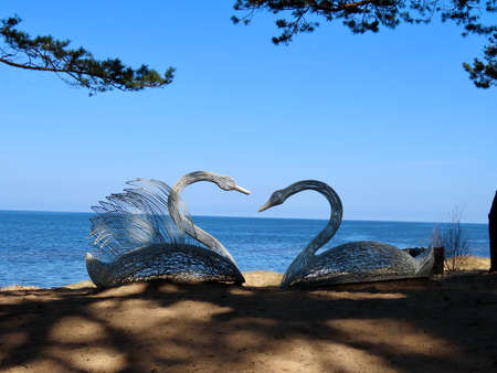 Swan sculptures made of white painted metal wire on beach, under pine tree shade. Saulkrasti, Latvia - April 29, 2021のeditorial素材