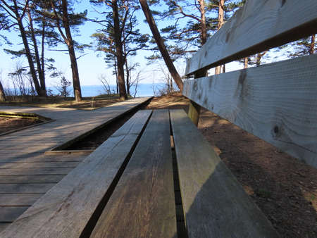 Wooden bench and walkway in protected nature area in Baltic sea dunes in Saulkrasti, Latvia. Prevents soil erosion and provides wheelchair accessibility for the disabled.の写真素材