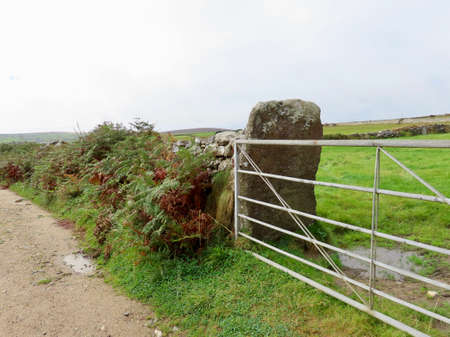 Dirt road, ferns, and pasture gate made of metal with gate post that possibly is an ancient standing stone, Cornwall, England, UKの写真素材