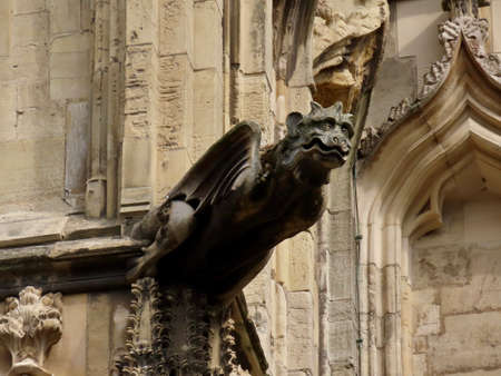 Winged creature gargoyle of gothic York Minster cathedral, England, UK. Close up