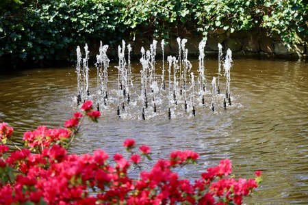 Water fountain with many jets and defocused red rhododendronsの写真素材