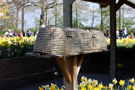 Old fashioned woven bee hives in Keukenhof gardens, Lisse, Netherlands - April 14, 2022のeditorial素材
