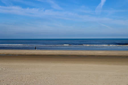 Far away dog walker on almost empty beach on early morning by North sea in Strand, Noordwijk aan...