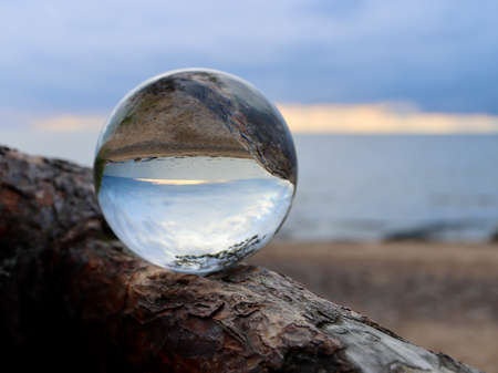 Crystal ball balanced on a pine tree branch on a sandy beach by Baltic seaの写真素材