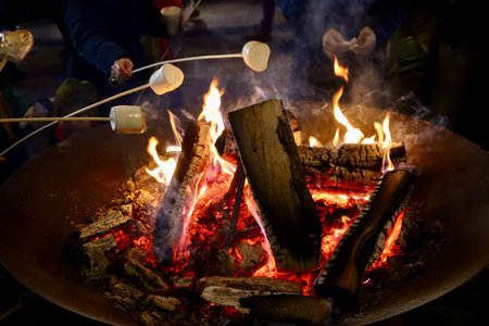 Marshmallows on sticks roasting over log fire. Selective focusの写真素材