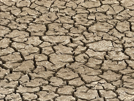 Dry pond bed with cracked ground close up as background texture