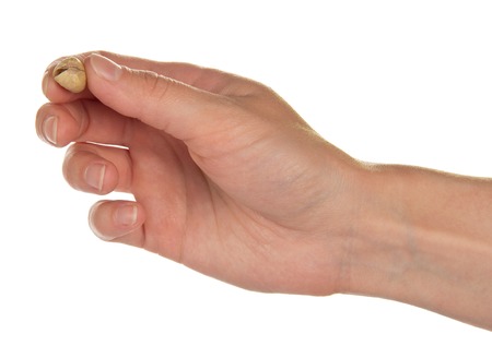 Salted and roasted pistachio nuts in a hand, isolated on whiteの写真素材