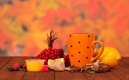 Tea from  lemon and guelder-rose with honey against autumn foliageの写真素材