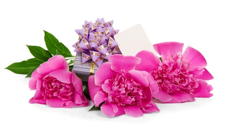 Pink peonies, the gift box decorated with a ribbon, and the empty card, isolated on whiteの写真素材