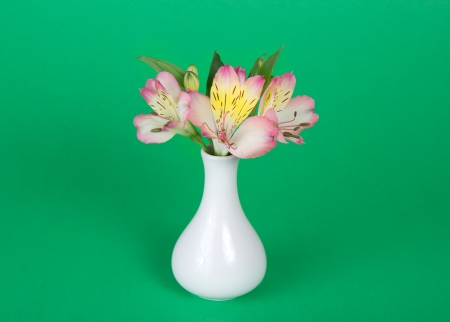 Bouquet of alstroemeria  in vase  on a green backgroundの写真素材