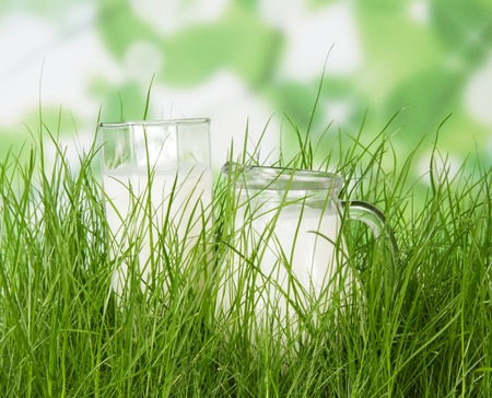 Pitcher and glass of fresh milk in the grass on abstract green background.の写真素材