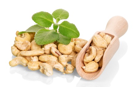 Pile of roasted cashew nuts and a scoop, a sprig of mint isolated on white background.の写真素材
