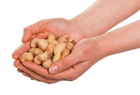 In human hands peanuts in the shell isolated on white background.の写真素材