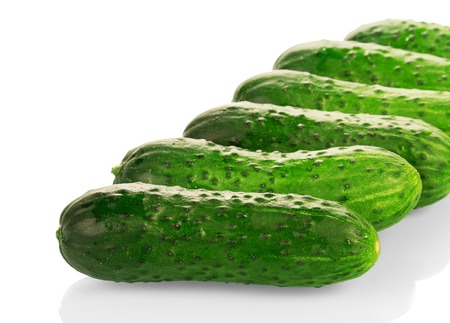 Fresh cucumbers decomposed in a row isolated on white background.の写真素材