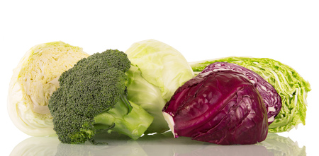 Various types of cabbage isolated on white background.の写真素材