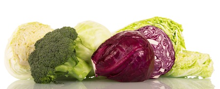 Different kinds of cabbage isolated on white background.の写真素材