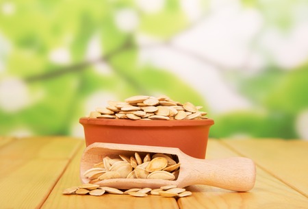 A bowl and scoop with pumpkin seeds on abstract green background.の写真素材