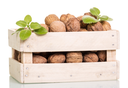 Walnuts in a wooden box isolated on white background.の写真素材