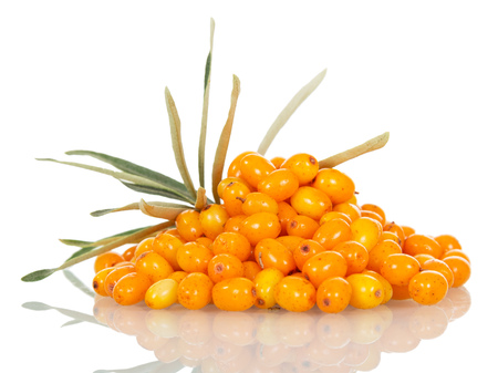 Buckthorn berries, leaves closeup isolated on white background.の写真素材