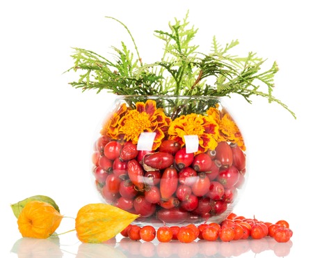 Composition in a round glass vase of flowers and rose hips, mountain ash. Isolated on white backgroundの写真素材