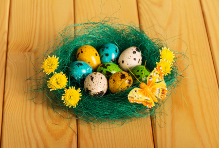 Easter eggs in the nest, flowers and butterflies on a light board.の写真素材