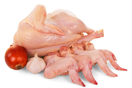 Whole raw chicken carcass, wings, onion and garlic isolated on white background.の写真素材