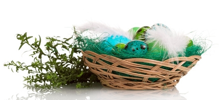 Colored Easter eggs in the basket and grass isolated on white background.の写真素材