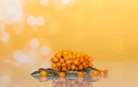 Branch with berries of sea-buckthorn berries and leaves closeup on abstract yellow background.の写真素材