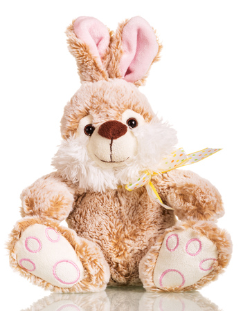 Easter bunny with a bow isolated on white background.の写真素材