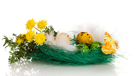 Easter eggs in the nest, flowers, grass and butterfly, isolated on white background.の写真素材