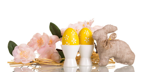 Easter eggs in cups, and the Easter Bunny, the branch with flowers, isolated on white background.の写真素材