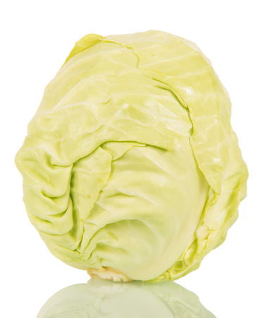 Fresh white cabbage isolated on white background.の写真素材