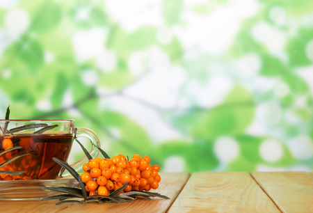Branch with berries of sea buckthorn and tea Cup on abstract green background.の写真素材