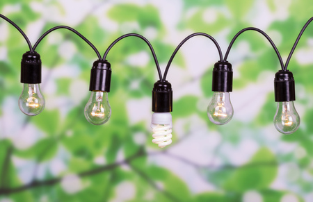 Garland of incandescent bulbs and fluorescent on an abstract green background.の写真素材