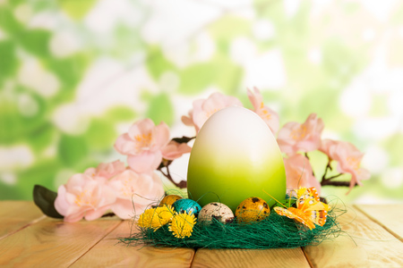 Colorful Easter eggs in the nest, and one large branch with flowers on the abstract green background.の写真素材