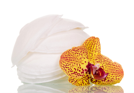 Absorbent breast pads and orchid flower isolated on white background.の写真素材