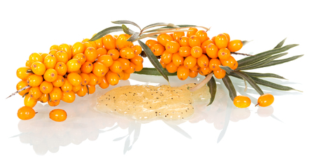 Branches with berries of sea-buckthorn and natural face scrub isolated on white background.の写真素材