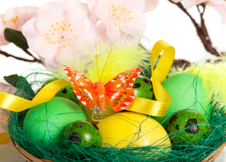 Various Easter eggs in a basket and a branch with flowers closeup. Background.の写真素材