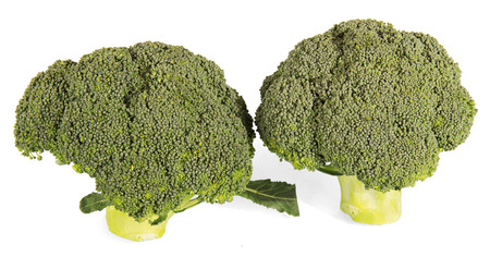 Two inflorescences of broccoli with leaves isolated on white background.の写真素材
