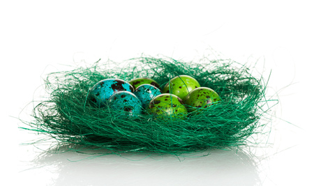 Colored Easter eggs in the nest isolated on a white background.の写真素材