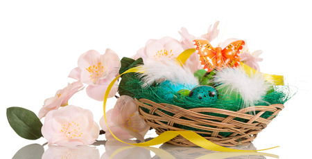Colored Easter eggs in the basket, flowers, ribbon and butterfly isolated on white background.の写真素材