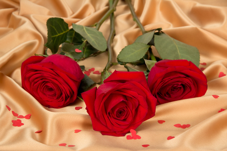Three red roses beautifully stacked on beige silk fabricの写真素材