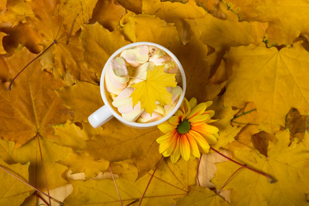 A cup with sweet drink, presented on carpet of yellow autumn leavesの写真素材
