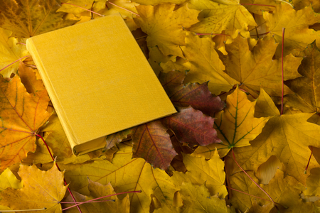 Autumn composition. Book with a bookmark from a red leafの写真素材