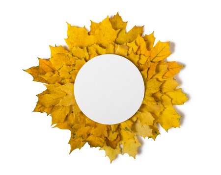 Isolated leaves. Round border of various autumn leaves isolated on white backgroundの写真素材