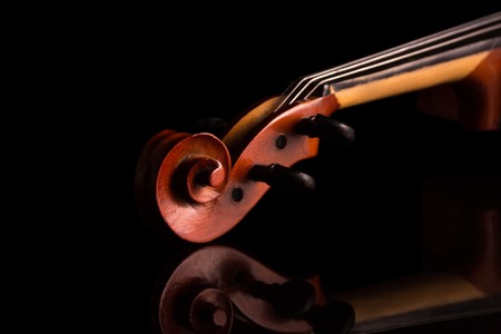 Fretboard violin with strings isolated on black backgroundの写真素材