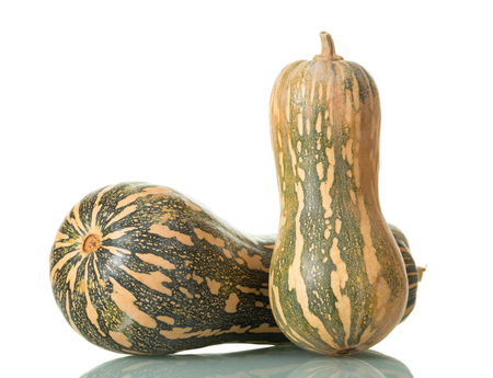 Two speckled pumpkin isolated on white backgroundの写真素材