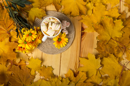 Top view. Warming coffee with marshmallow on a background of autumn leaves and flowersの写真素材